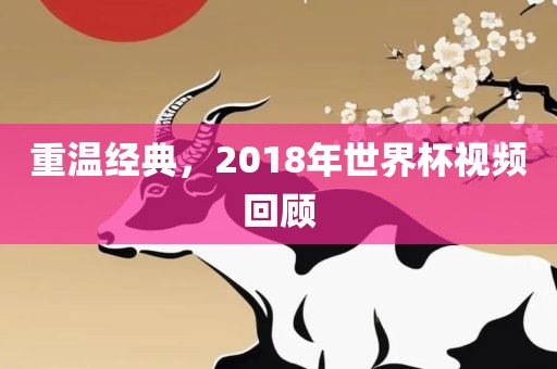 重温经典，2018年世界杯视频回顾吉安市靖泰电力工程有限公司