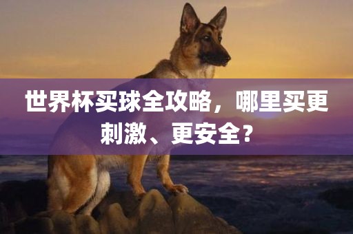 世界杯买球全攻略，哪里买更刺激、更安全？