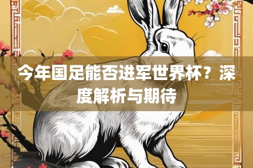 今年国足能否进军世界杯？深度解析与期待
