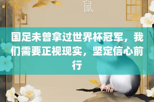 世界杯冠军 第3页