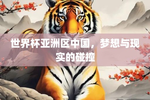世界杯亚洲区中国，梦想与现实的碰撞
