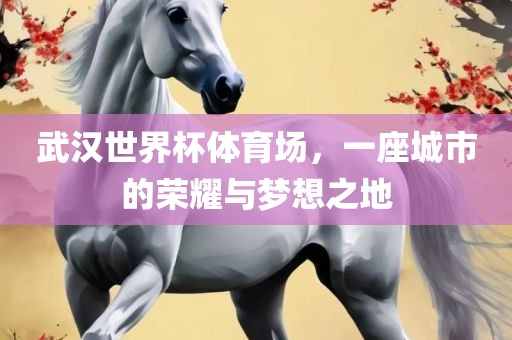 武汉世界杯体育场，一座城市的荣耀与梦想之地