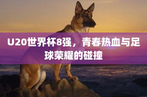 U20世界杯8强，青春热血与足球荣耀的碰撞