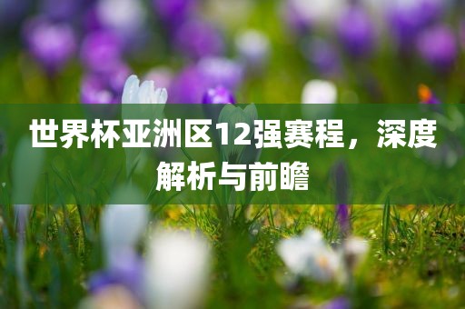 世界杯亚洲区12强赛程，深度解析与前瞻