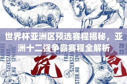 世界杯亚洲区预选赛程揭秘，亚洲十二强争霸赛程全解析