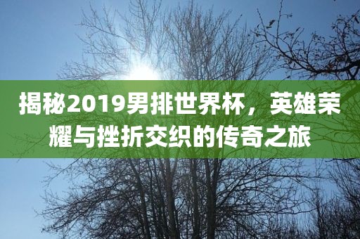 揭秘2019男排世界杯，英雄荣耀与挫折交织的传奇之旅