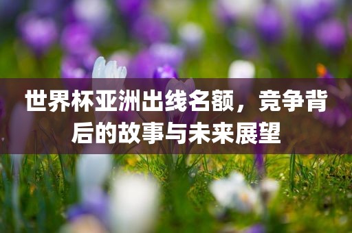 世界杯亚洲出线名额，竞争背后的故事与未来展望