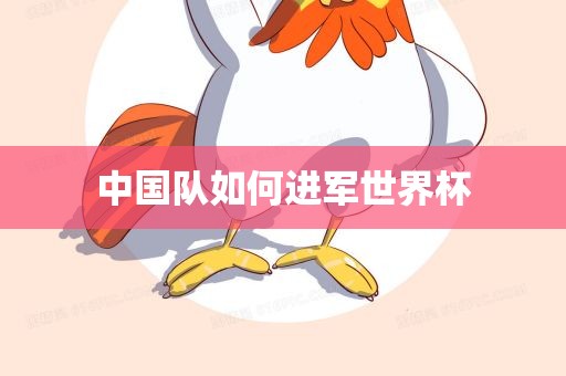 中国队如何进军世界杯