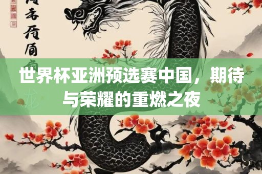 世界杯亚洲预选赛中国，期待与荣耀的重燃之夜
