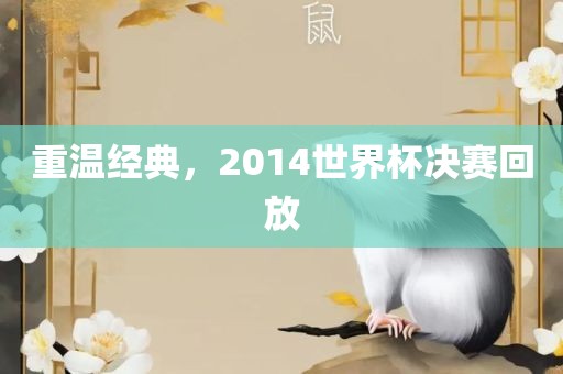 重温经典，2014世界杯决赛回放吉安市靖泰电力工程有限公司