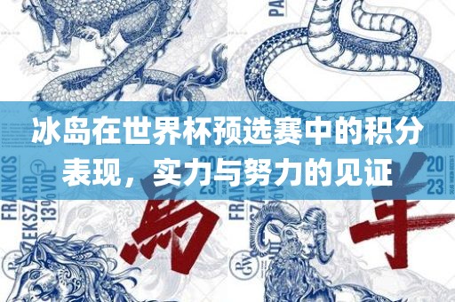 冰岛在世界杯预选赛中的积分表现，实力与努力的见证