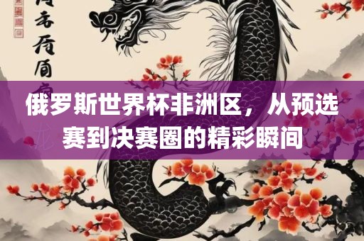 俄罗斯世界杯非洲区，从预选赛到决赛圈的精彩瞬间