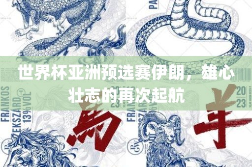 世界杯亚洲预选赛伊朗，雄心壮志的再次起航