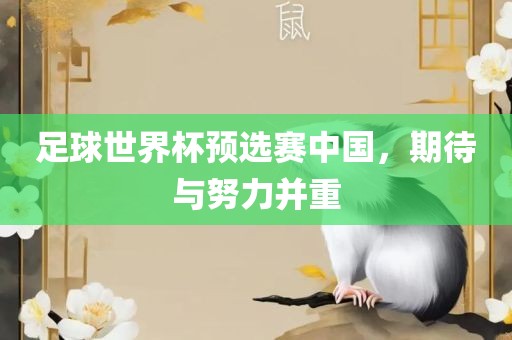 足球世界杯预选赛中国，期待与努力并重