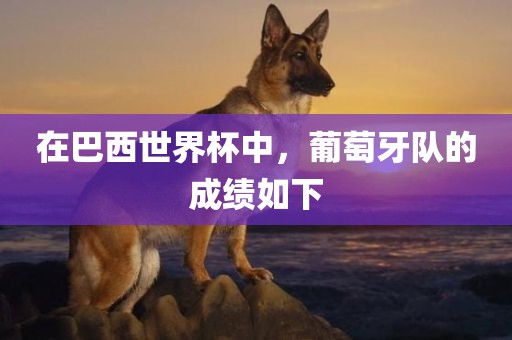 在巴西世界杯中，葡萄牙队的成绩如下