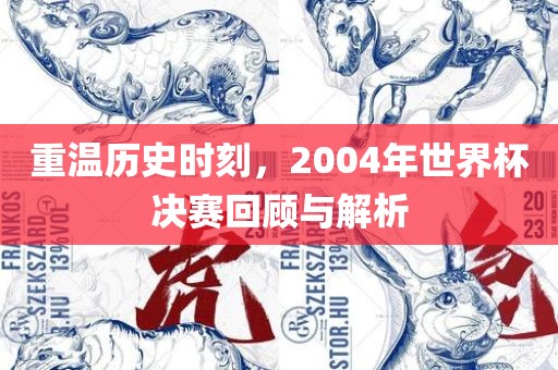 重温历史时刻，2004年世界杯决赛回顾与解析