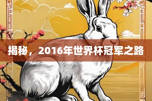 揭秘，2016年世界杯冠军之路