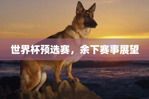 世界杯预选赛，余下赛事展望