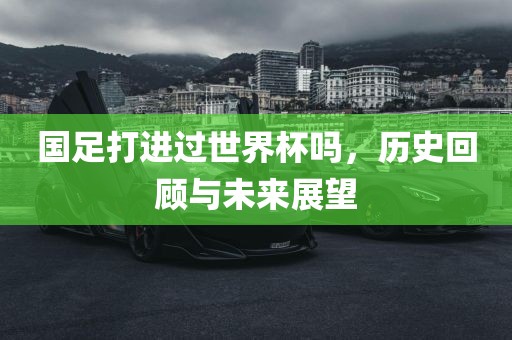 国足打进过世界杯吗，历史回顾与未来展望