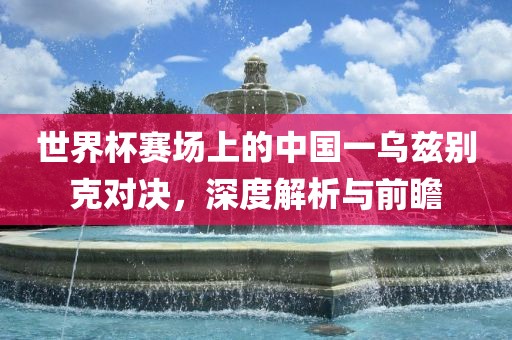 世界杯赛场上的中国一乌兹别克对决，深度解析与前瞻