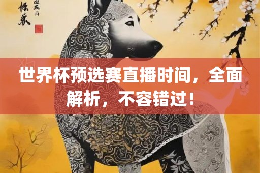 世界杯预选赛直播时间，全面解析，不容错过！