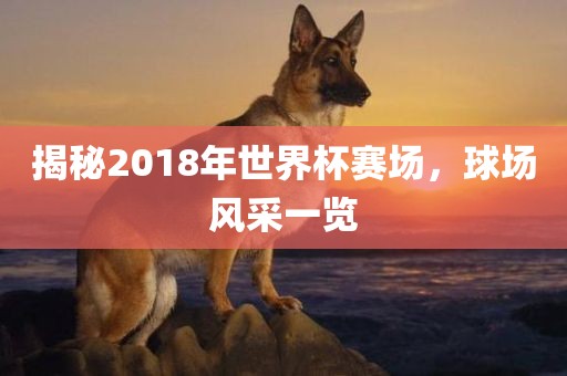 揭秘2018年世界杯赛场，球场风采一览吉安市靖泰电力工程有限公司