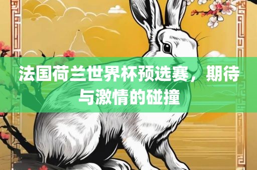 法国荷兰世界杯预选赛，期待与激情的碰撞