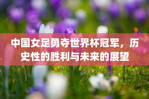中国女足勇夺世界杯冠军，历史性的胜利与未来的展望吉安市靖泰电力工程有限公司