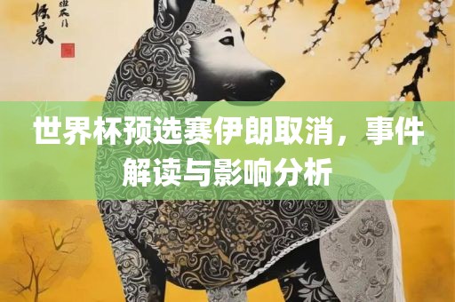 世界杯预选赛伊朗取消，事件解读与影响分析