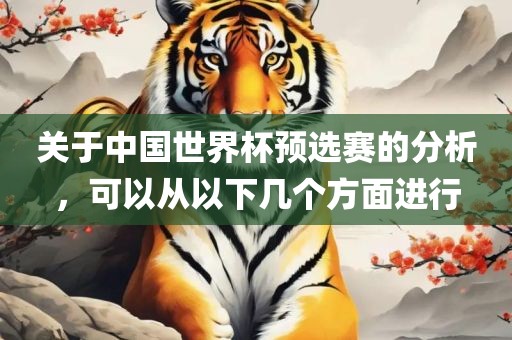 关于中国世界杯预选赛的分析，可以从以下几个方面进行