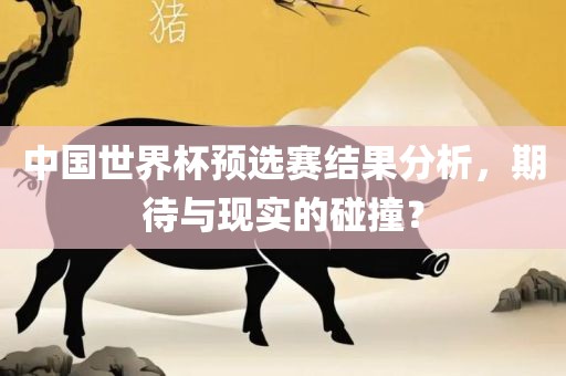 中国世界杯预选赛结果分析，期待与现实的碰撞？