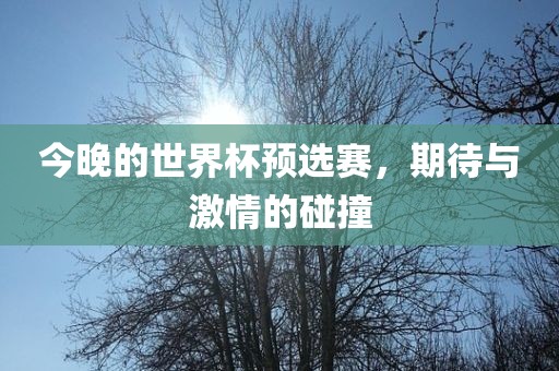 今晚的世界杯预选赛，期待与激情的碰撞