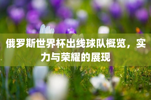 俄罗斯世界杯出线球队概览，实力与荣耀的展现