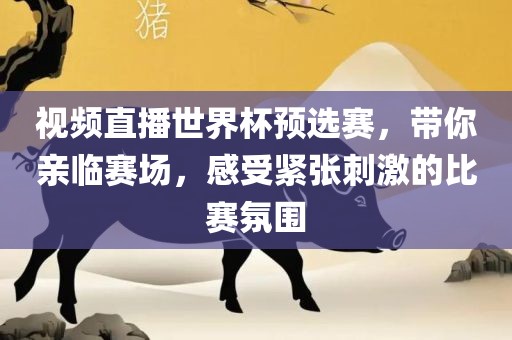 视频直播世界杯预选赛，带你亲临赛场，感受紧张刺激的比赛氛围
