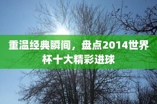 重温经典瞬间，盘点2014世界杯十大精彩进球