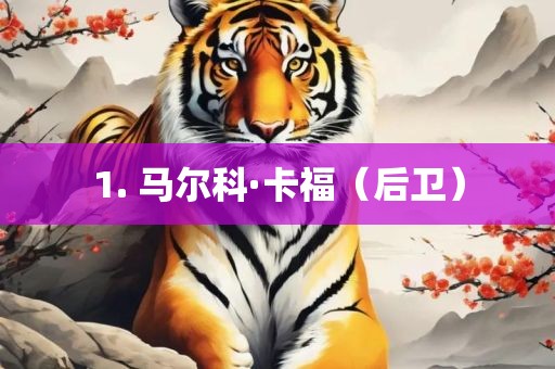 1. 马尔科·卡福（后吉安市靖泰电力工程有限公司卫）
