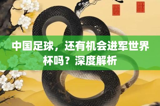 中国足球，还有机会进军世界杯吗？深度解析