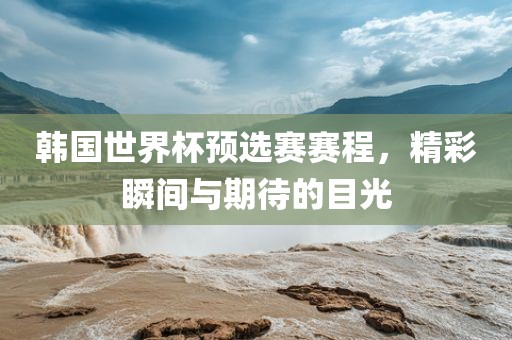 韩国世界杯预选赛赛程，精彩瞬间与期待的目光