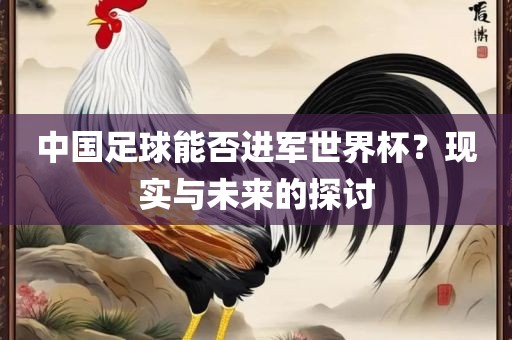 中国足球能否进军世界杯？现实与未来的探讨