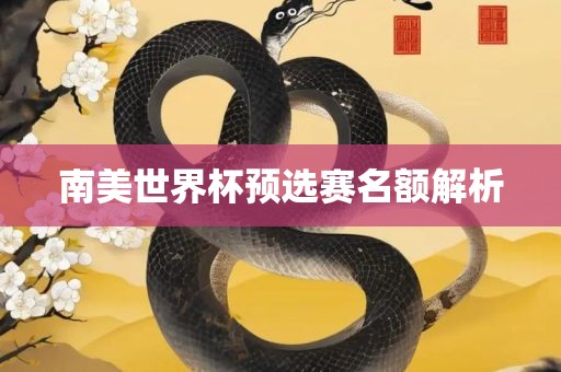 南美世界杯预选赛名额解析吉安市靖泰电力工程有限公司