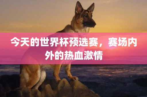 今天的世界杯预选赛，赛场内外的热血激情