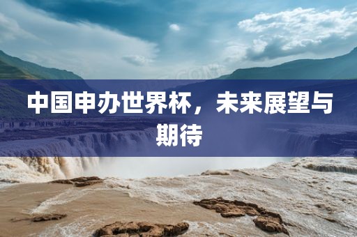 中国申办世界杯，未来展望与期待