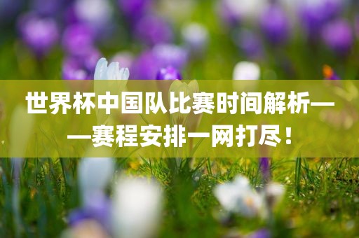 世界杯中国队比赛时间解析——赛程安排一网打尽！