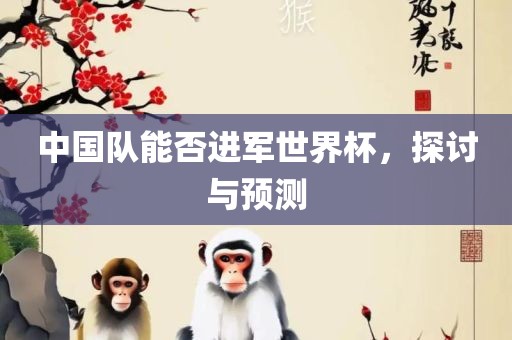 中国队能否进军世界杯，探讨与预测