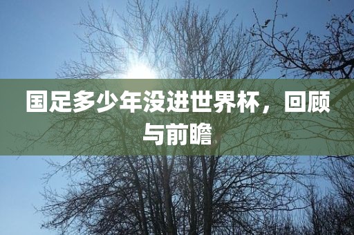 国足多少年没进世界杯，回顾与前瞻