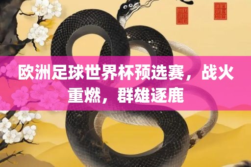 欧洲足球世界杯预选赛，战火重燃，群雄逐鹿