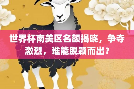 世界杯南美区名额揭晓，争夺激烈，谁能脱颖而出？