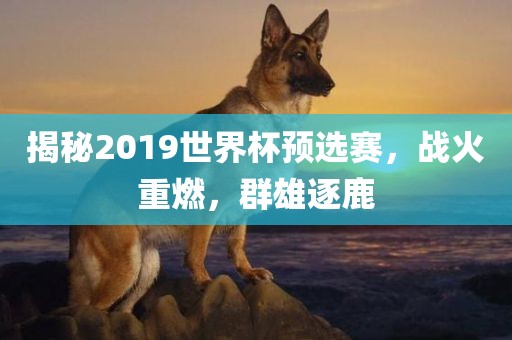 揭秘2019世界杯预选赛，战火重燃，群雄逐鹿
