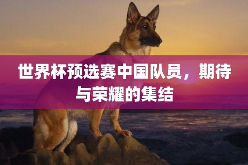 世界杯预选赛中国队员，期待与荣耀的集结