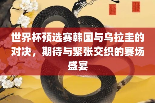 世界杯预选赛韩国与乌拉圭的对决，期待与紧张交织的赛场盛宴